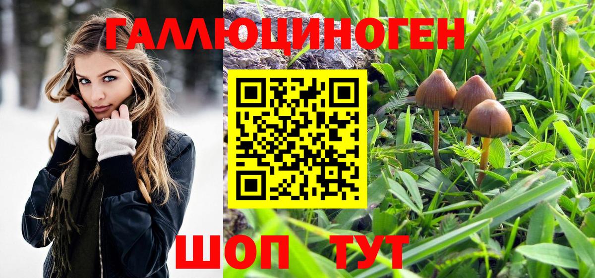 Псилоцибиновые грибы ЛСД  Вход с VPN  Омск  Псилоцибиновые грибы MAGIC MUSHROOMS 
